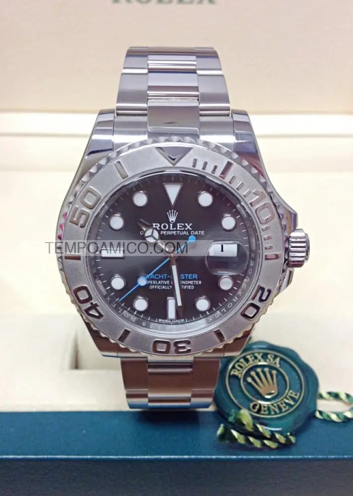 Yacht Master grigio